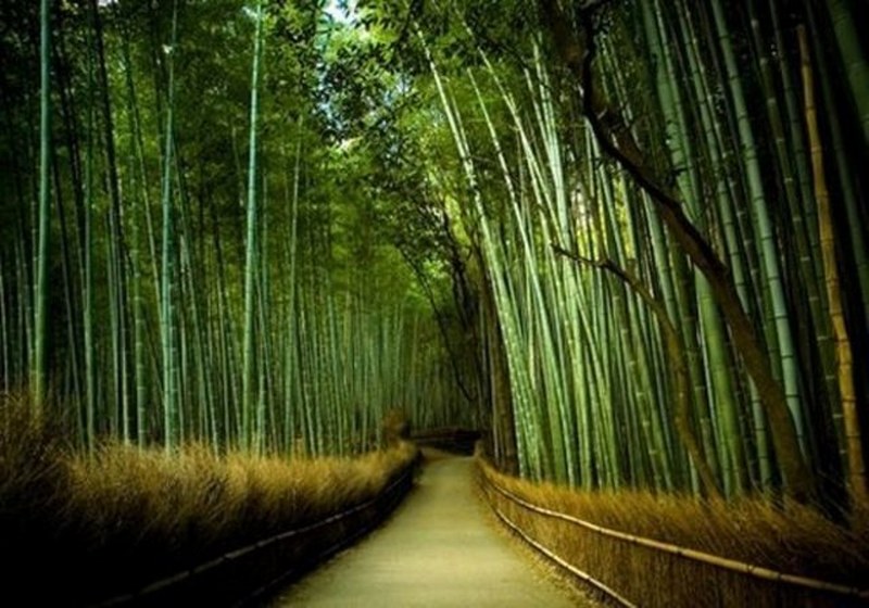 Dünyanın en enteresan bilgileri... A24