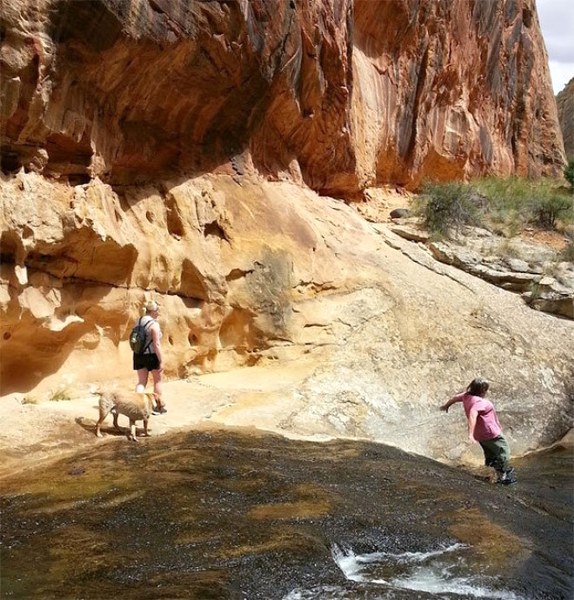 1 Saniye sonrası hüsranla bitecek birbirinden ilginç 40 Fotoğraf A24
