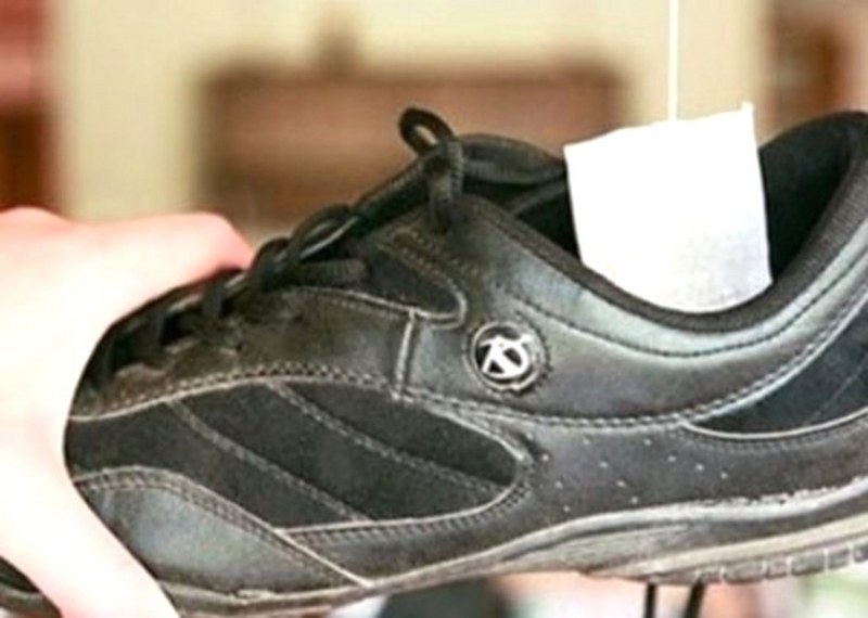 Daha önce hiç duymadığınız farklı bilgiler... A24