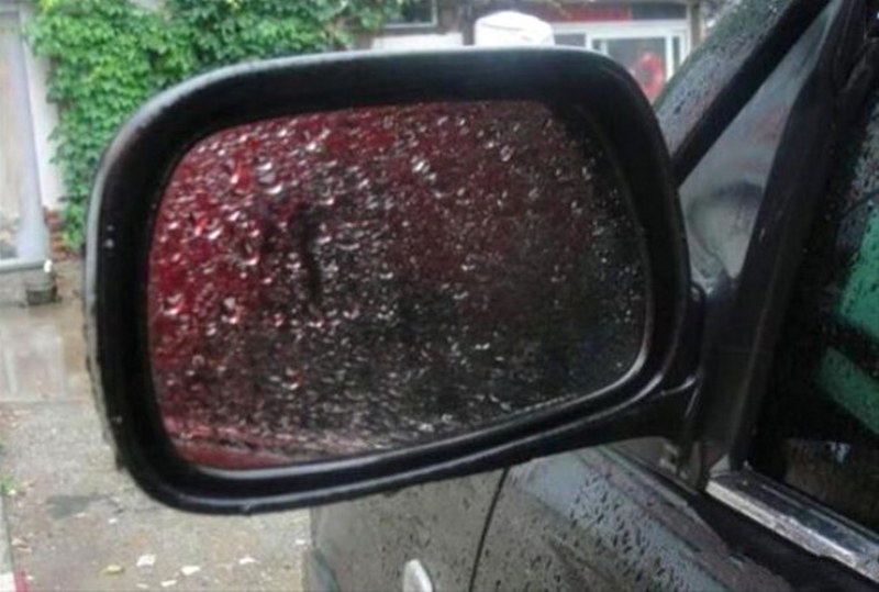 Daha önce hiç duymadığınız farklı bilgiler... A24