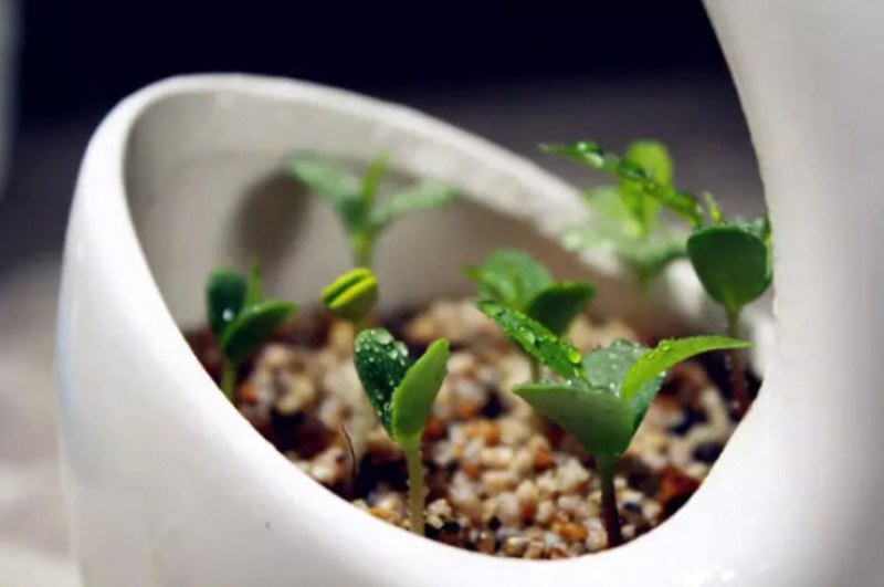 Daha önce hiç duymadığınız farklı bilgiler... A24