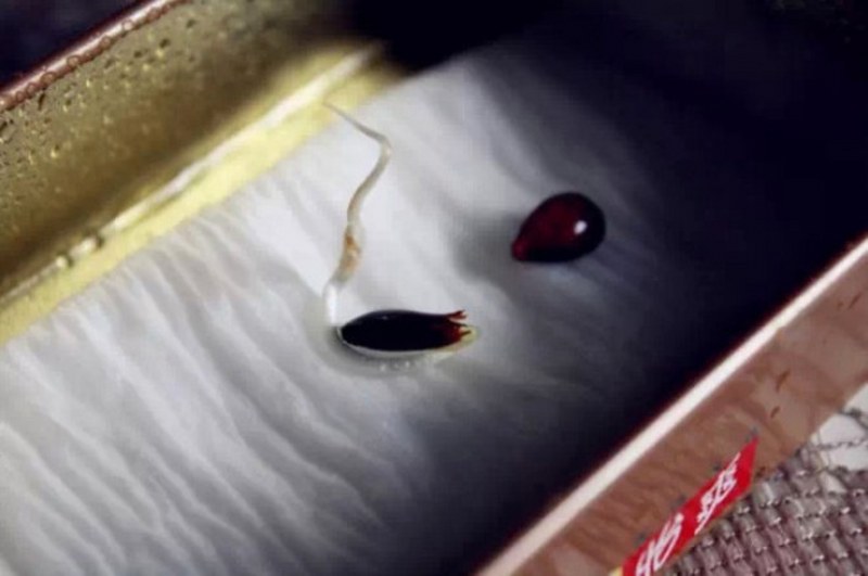 Daha önce hiç duymadığınız farklı bilgiler... A24