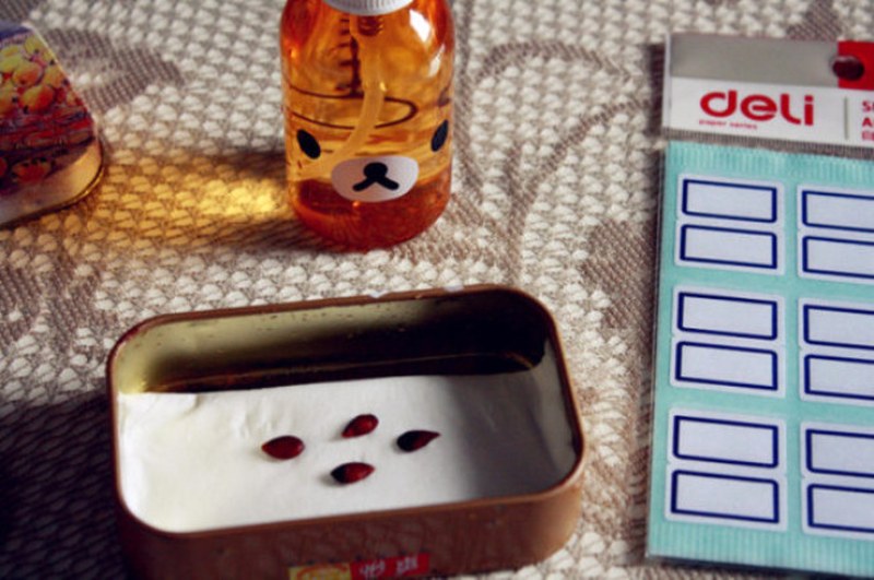 Daha önce hiç duymadığınız farklı bilgiler... A24