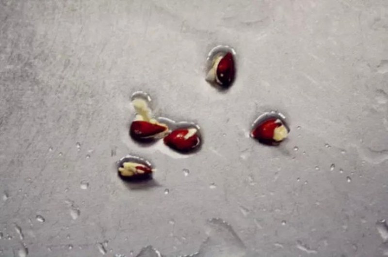 Daha önce hiç duymadığınız farklı bilgiler... A24