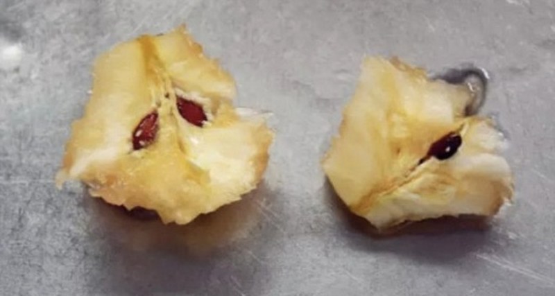 Daha önce hiç duymadığınız farklı bilgiler... A24