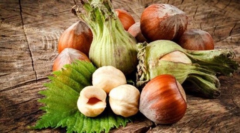 Çiğ fındıkla gelen 10 fayda! (Kavrulmuş fındık yemeyin!) A24