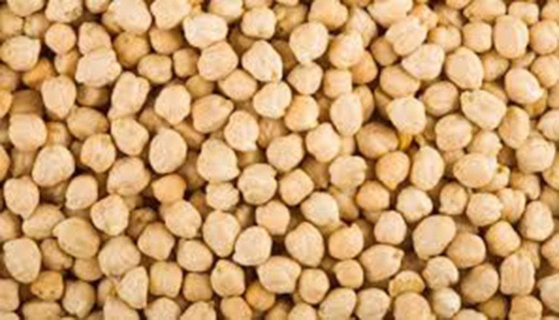 Spora gitmeden önce ne yemek lazım? A24