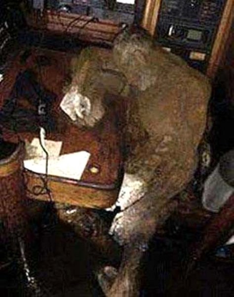 Dünyanın en tuhaf ölümleri ve intiharları! A24