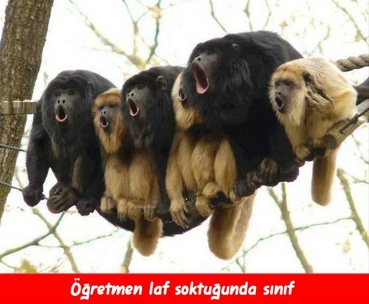 Öğretmenler gününe ait en komik capsler A24