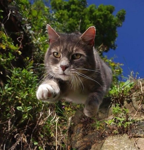 En doğru zamanda çekilmiş birbirinden enteresan 16 resim A24