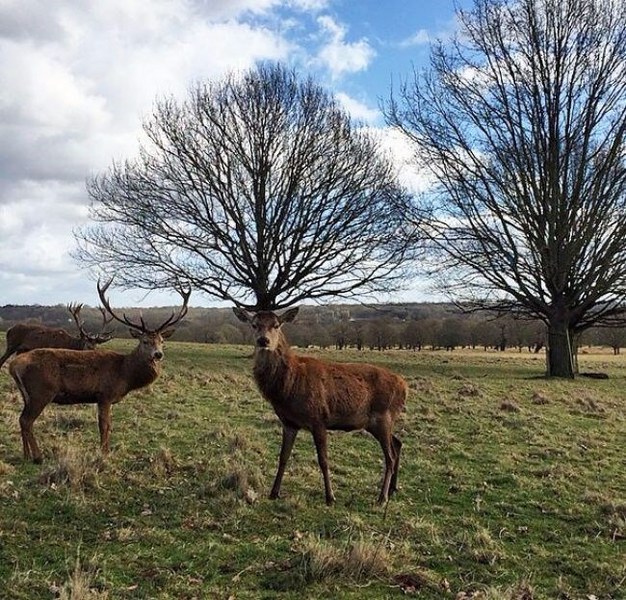 En doğru zamanda çekilmiş birbirinden enteresan 16 resim A24