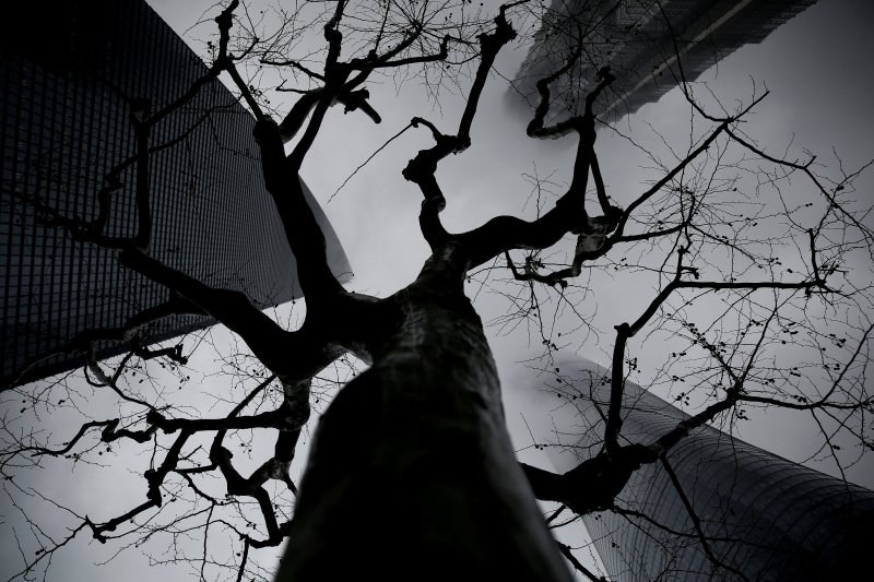 Reuters 2017 yılın en iyi 100 fotoğrafını yayınladı... A24