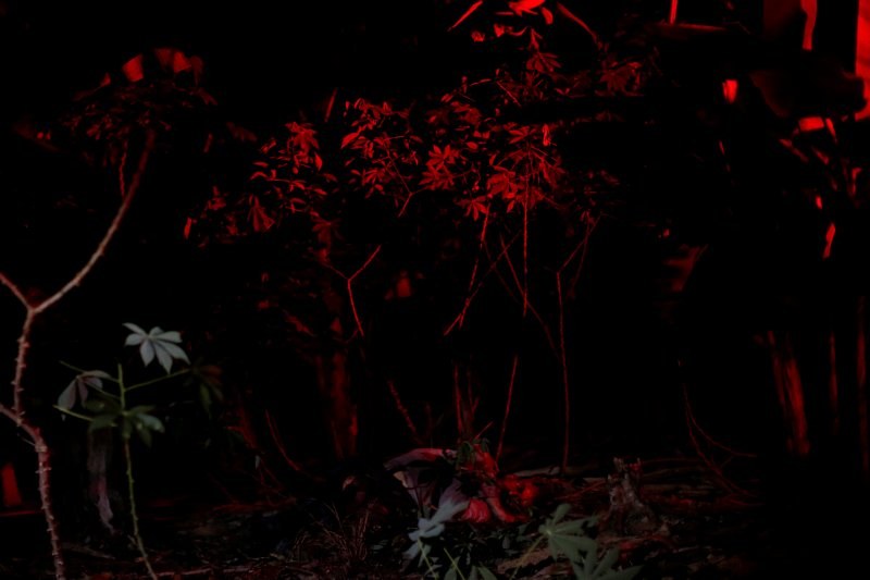 Reuters 2017 yılın en iyi 100 fotoğrafını yayınladı... A24