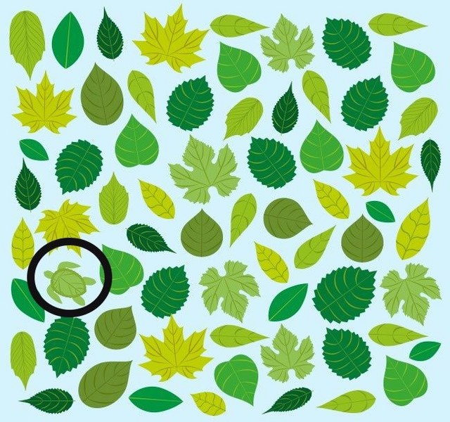 Bu basit testi çözün, 'içine kapanık mısınız, dışa dönük mü' öğrenin A24