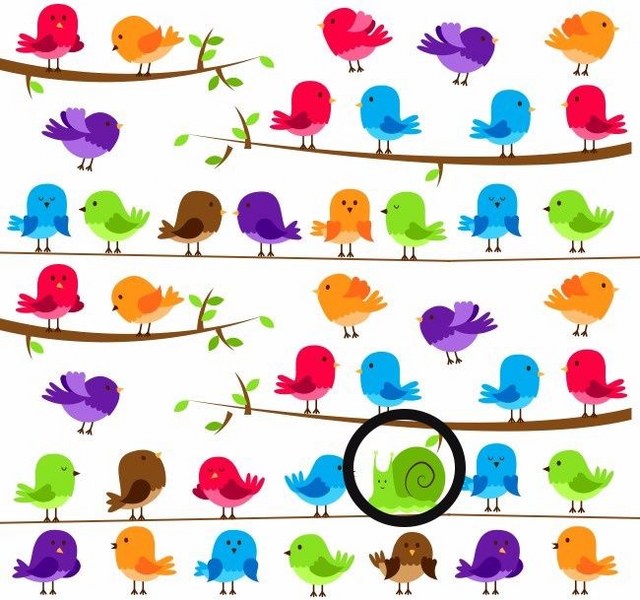 Bu basit testi çözün, 'içine kapanık mısınız, dışa dönük mü' öğrenin A24