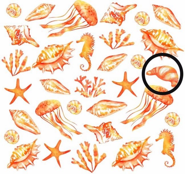 Bu basit testi çözün, 'içine kapanık mısınız, dışa dönük mü' öğrenin A24