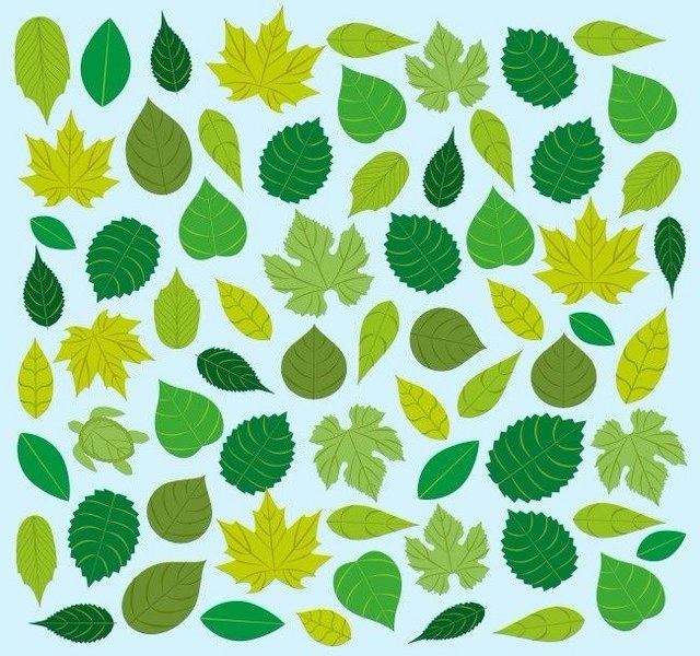 Bu basit testi çözün, 'içine kapanık mısınız, dışa dönük mü' öğrenin A24