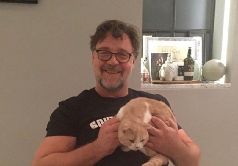 Ünlü isimler ve hayatlarının vazgeçilmez evcil dostları A24