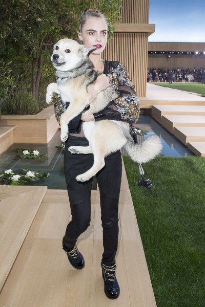 Ünlü isimler ve hayatlarının vazgeçilmez evcil dostları A24