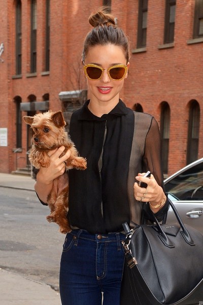 Ünlü isimler ve hayatlarının vazgeçilmez evcil dostları A24