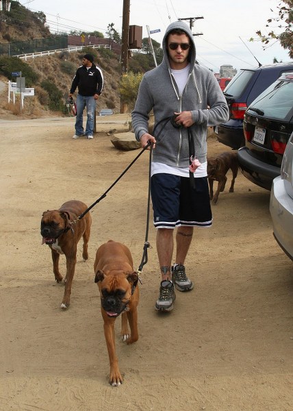 Ünlü isimler ve hayatlarının vazgeçilmez evcil dostları A24