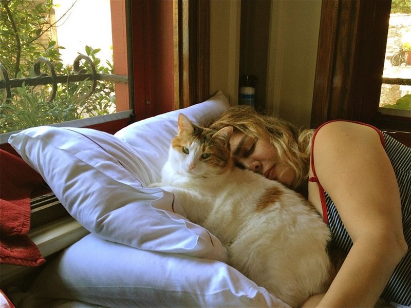 Ünlü isimler ve hayatlarının vazgeçilmez evcil dostları A24