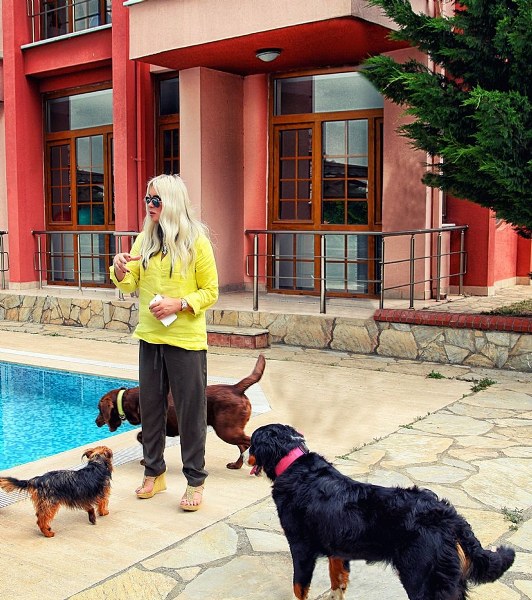 Ünlü isimler ve hayatlarının vazgeçilmez evcil dostları A24