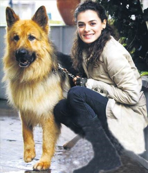 Ünlü isimler ve hayatlarının vazgeçilmez evcil dostları A24