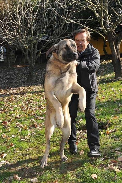 Ünlü isimler ve hayatlarının vazgeçilmez evcil dostları A24