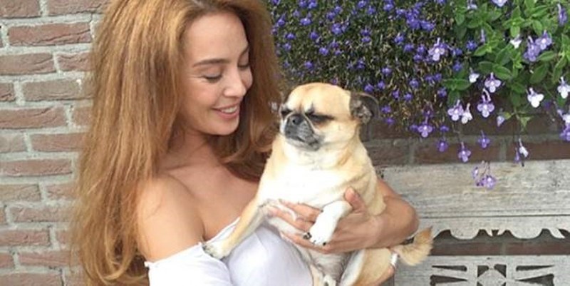 Ünlü isimler ve hayatlarının vazgeçilmez evcil dostları A24