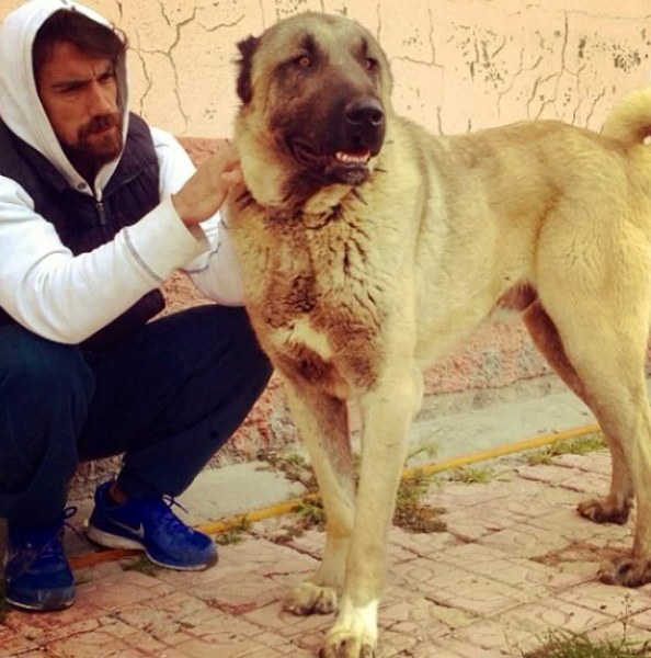 Ünlü isimler ve hayatlarının vazgeçilmez evcil dostları A24