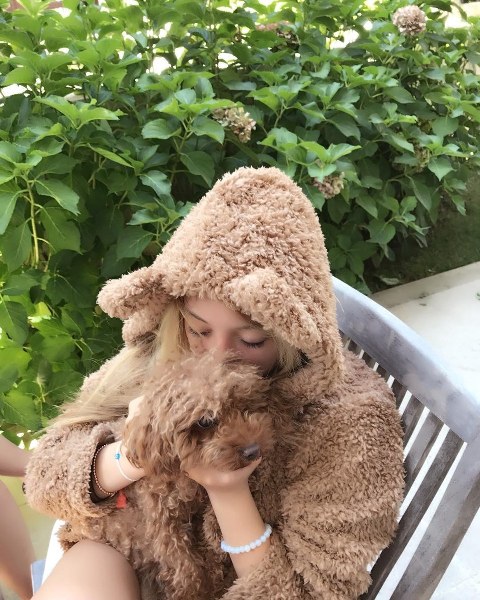 Ünlü isimler ve hayatlarının vazgeçilmez evcil dostları A24