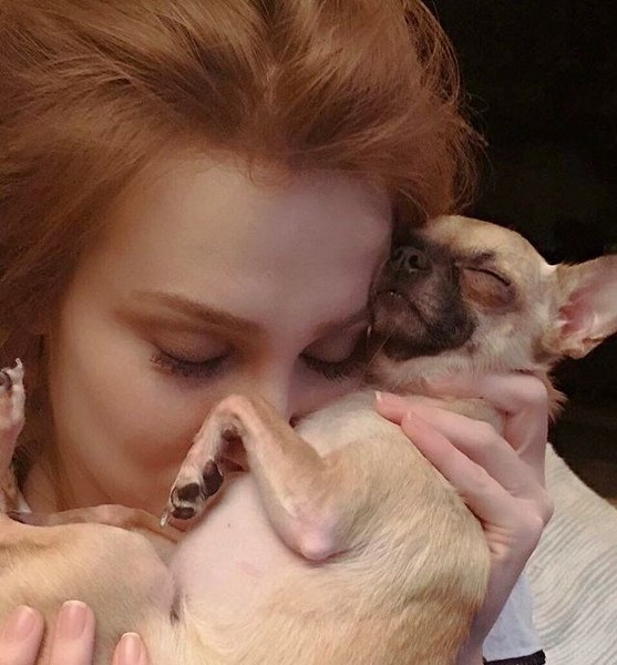 Ünlü isimler ve hayatlarının vazgeçilmez evcil dostları A24