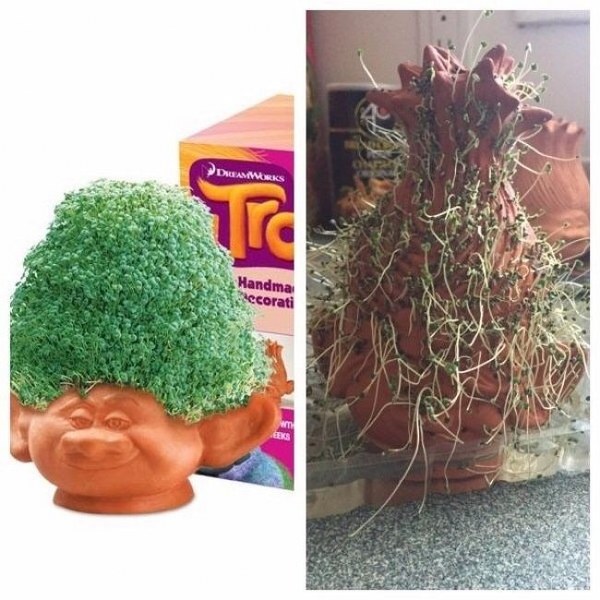 İnternet alışverişi sonucu hüsrana uğrayanlar! A24