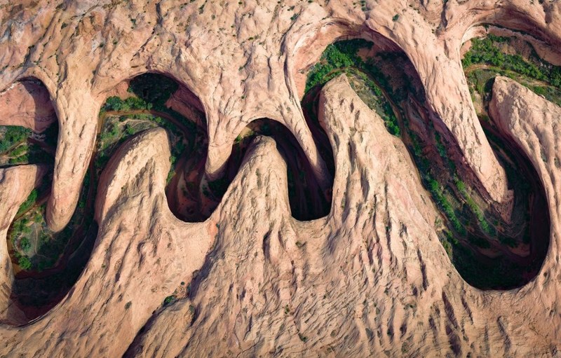 National Geographic 2017'nin en iyi vahşi yaşam fotoğraflarını paylaştı... A24