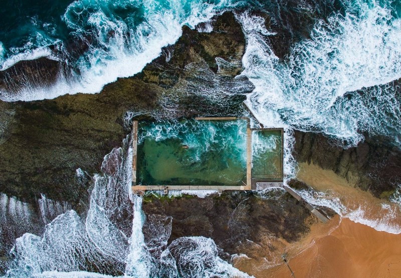 National Geographic 2017'nin en iyi vahşi yaşam fotoğraflarını paylaştı... A24