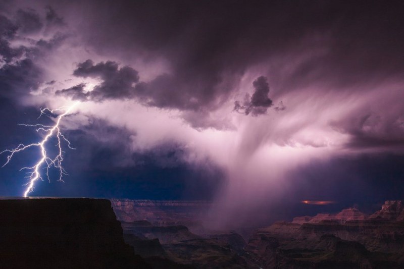 National Geographic 2017'nin en iyi vahşi yaşam fotoğraflarını paylaştı... A24