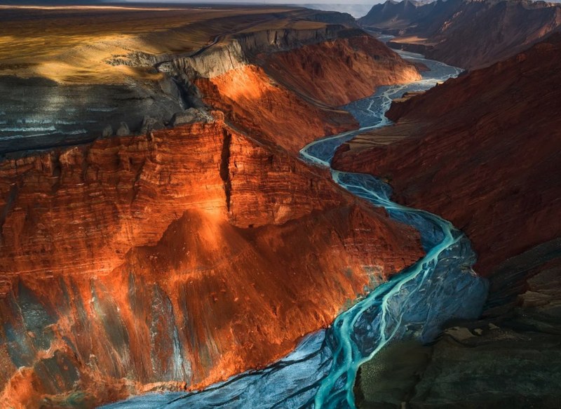 National Geographic 2017'nin en iyi vahşi yaşam fotoğraflarını paylaştı... A24