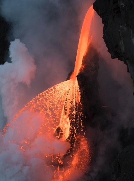 National Geographic 2017'nin en iyi vahşi yaşam fotoğraflarını paylaştı... A24
