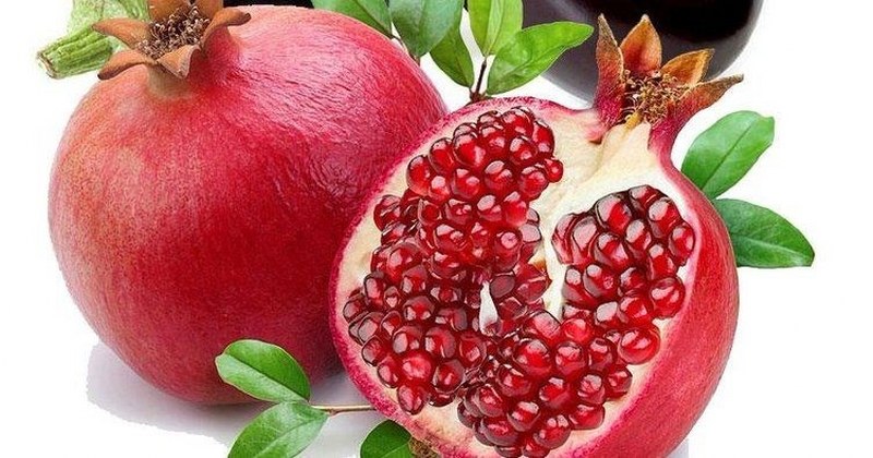 Gribe karşı 10 doğal savaşçı A24