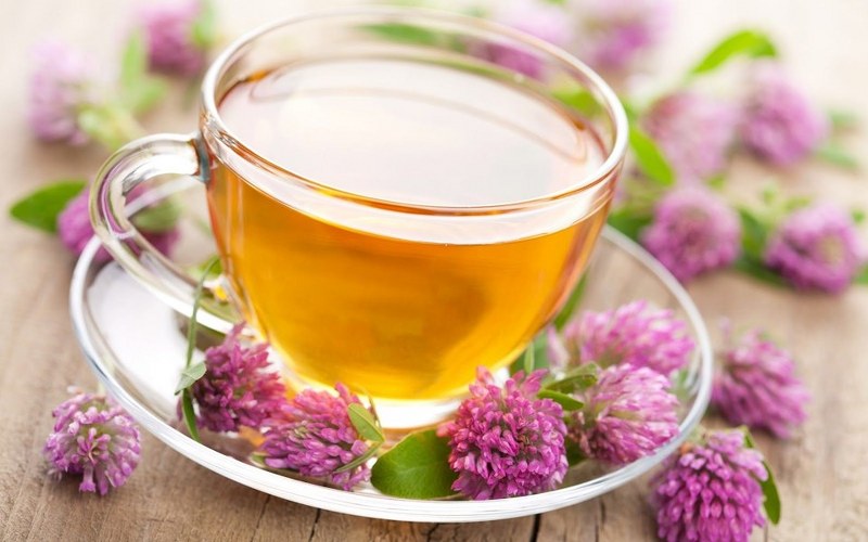 Gribe karşı 10 doğal savaşçı A24