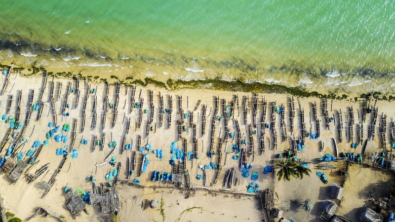 2017 yılının en iyi AA fotoğrafı! İlber Hoca'nın seçtiğine bakın! A24