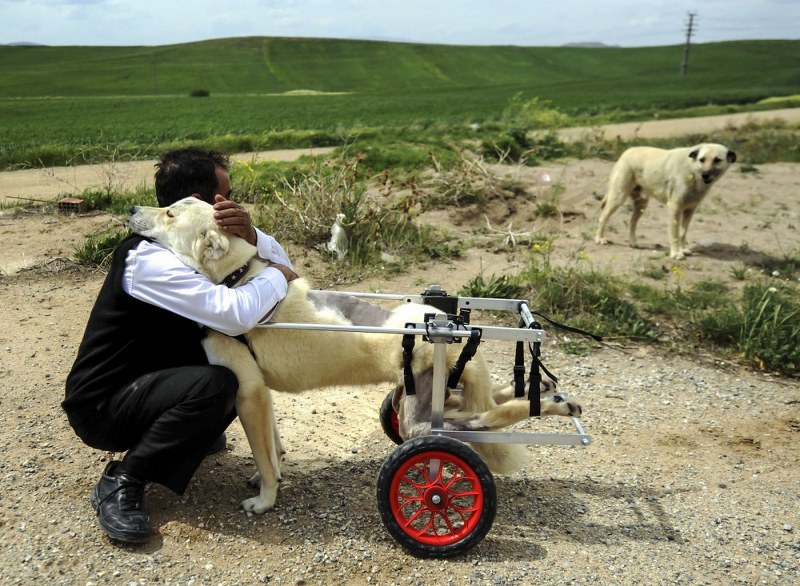2017 yılının en iyi AA fotoğrafı! İlber Hoca'nın seçtiğine bakın! A24