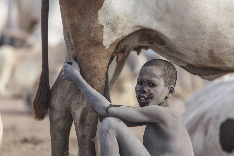 2017 yılının en iyi AA fotoğrafı! İlber Hoca'nın seçtiğine bakın! A24