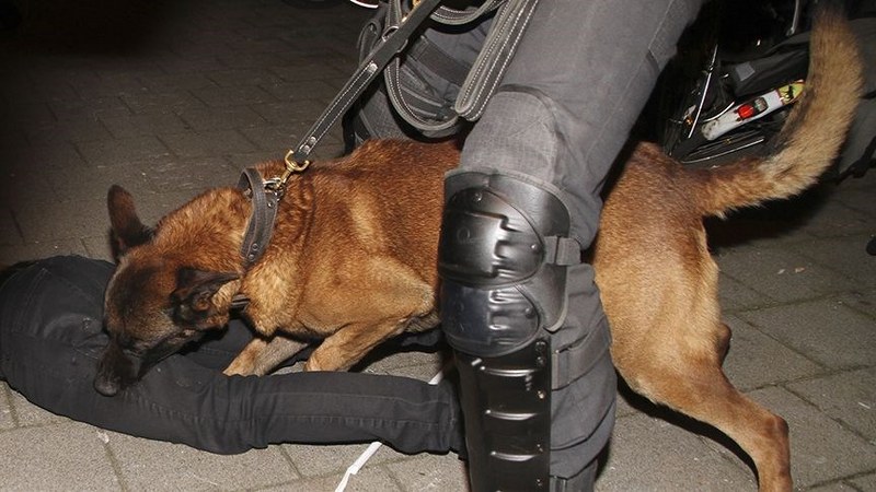 Türkiye'de 2017 böyle geçti A24