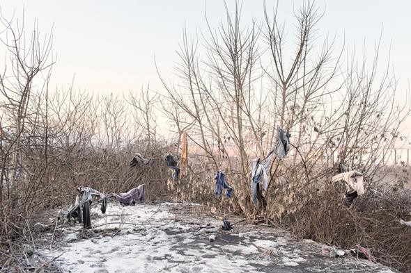 2017'nin en iyi fotoğrafları A24