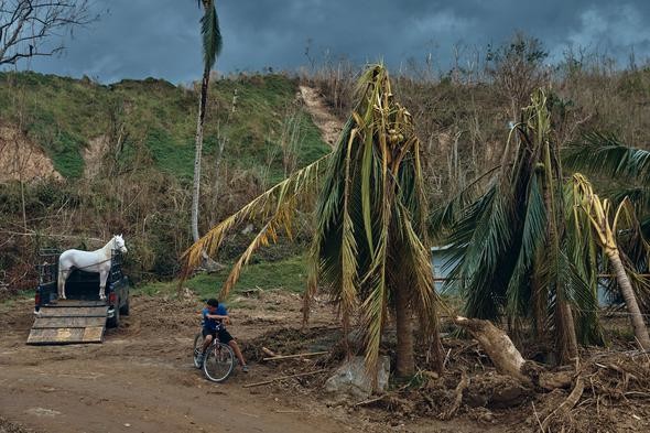 2017'nin en iyi fotoğrafları A24