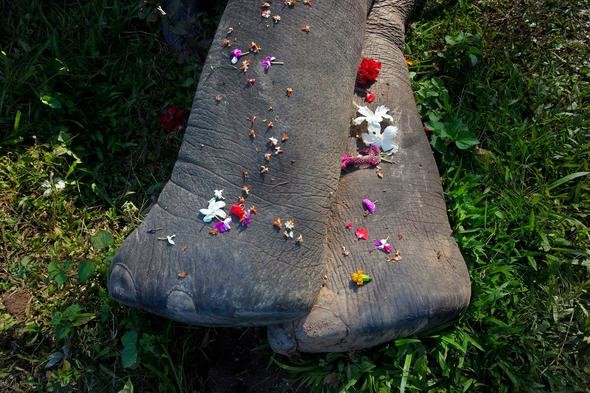 2017'nin en iyi fotoğrafları A24