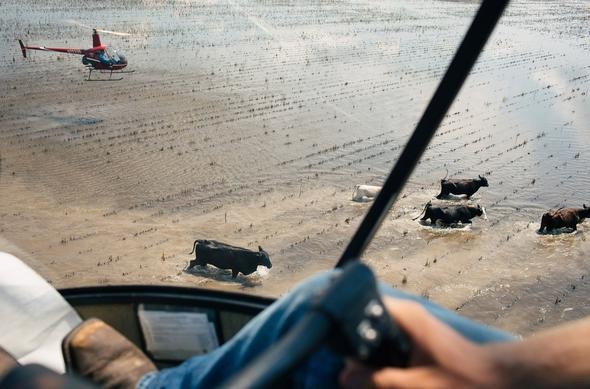 2017'nin en iyi fotoğrafları A24