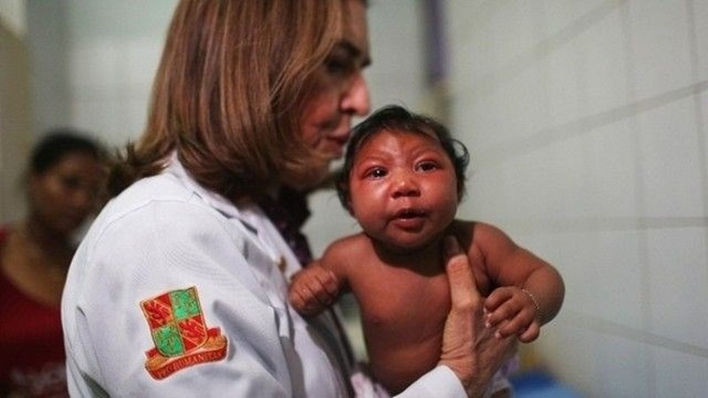 Zika virüsü Türkiye'de (Zika virüsü nedir?) A24